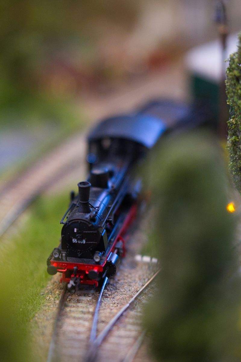 趣味の楽園 - Image 1